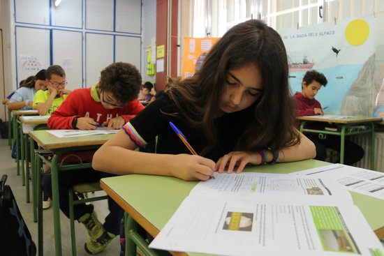 Basic skills test for 6th grade primary school students (12 years old) in a school in Tortosa in 2018