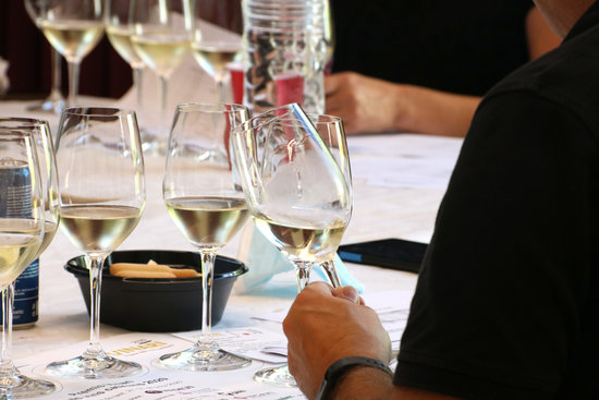 Taste testing white wines