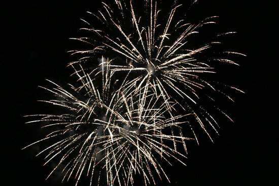 How to protect your<strong> cats and dogs</strong> during Sant Joan fireworks