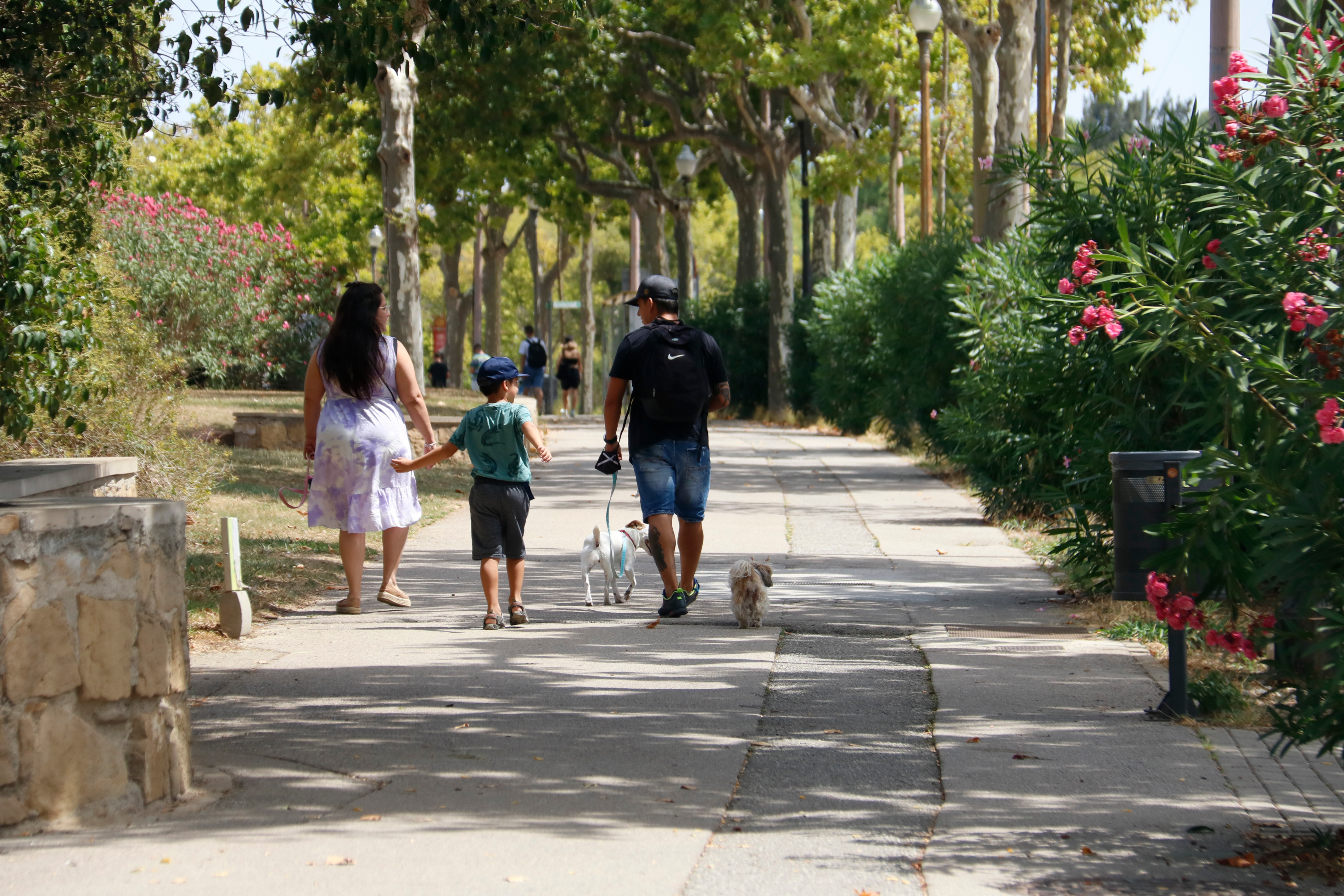 A family walking their dog in Barcelona's Montjuïc mountain on August 12, 2021