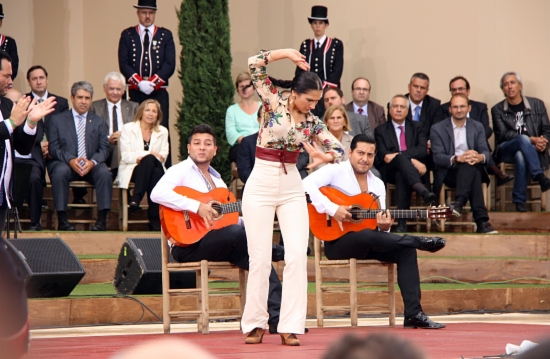 A flamenco dancer at the institutional ceremony of Catalonia's National Day (by P. Francesch)