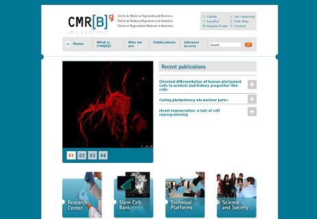 The website of the Barcelona's Centre for Regenerative Medicine (by CMRB / ACN)