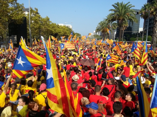 Protesters forming the yellow and red stripes of the Catalan flag at the beginning of the Diagonal Avenue in the September 11, 2014 independence demonstration (by M. Fernández Noguera)