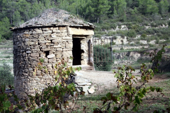 Abadal's dry stone hut in which the grapes are fermented (by E. Escolà)