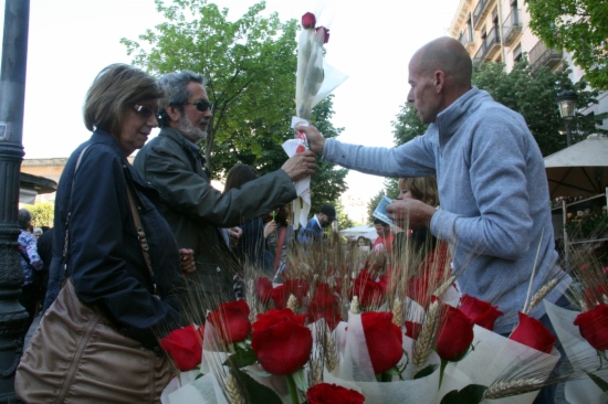 The Day of Sant Jordi in Girona, in 2014 (by ACN)