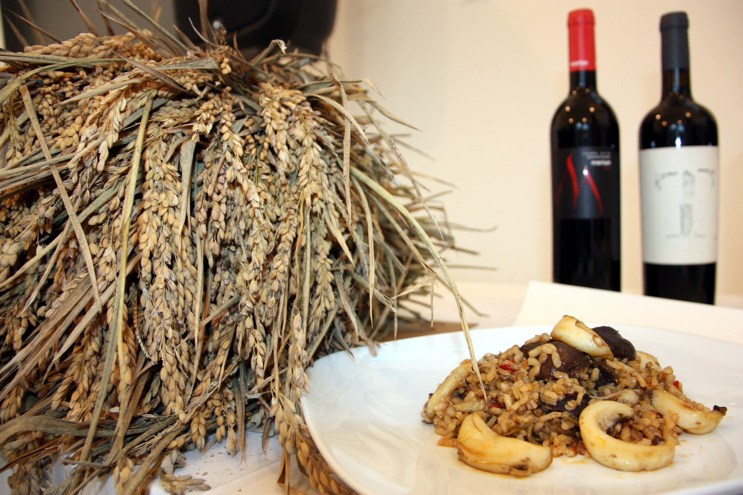 Image of Catalan wine and a local dish made with rice (by ACN)
