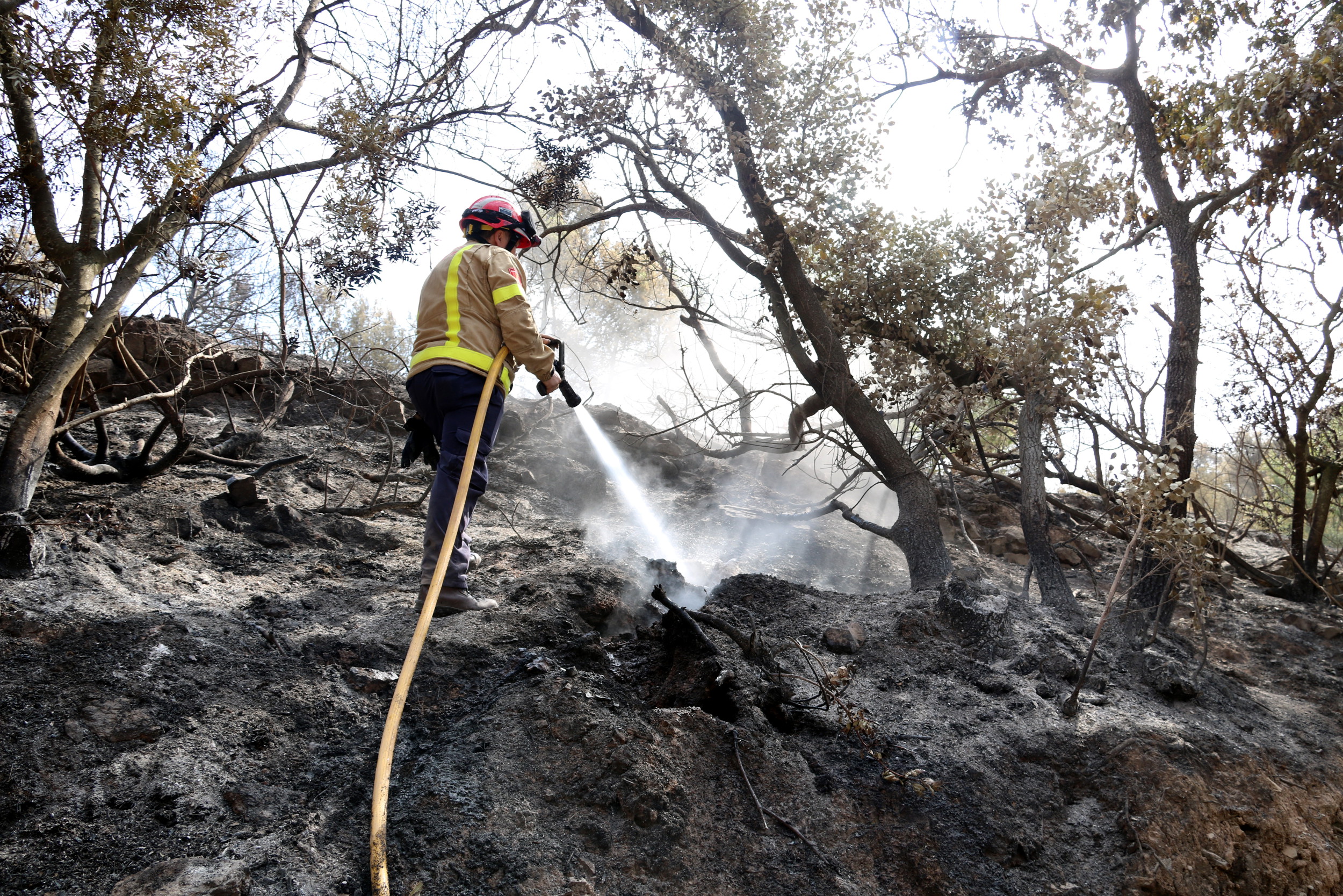 A firefighter putting out the fire near the Catalan village of Artés