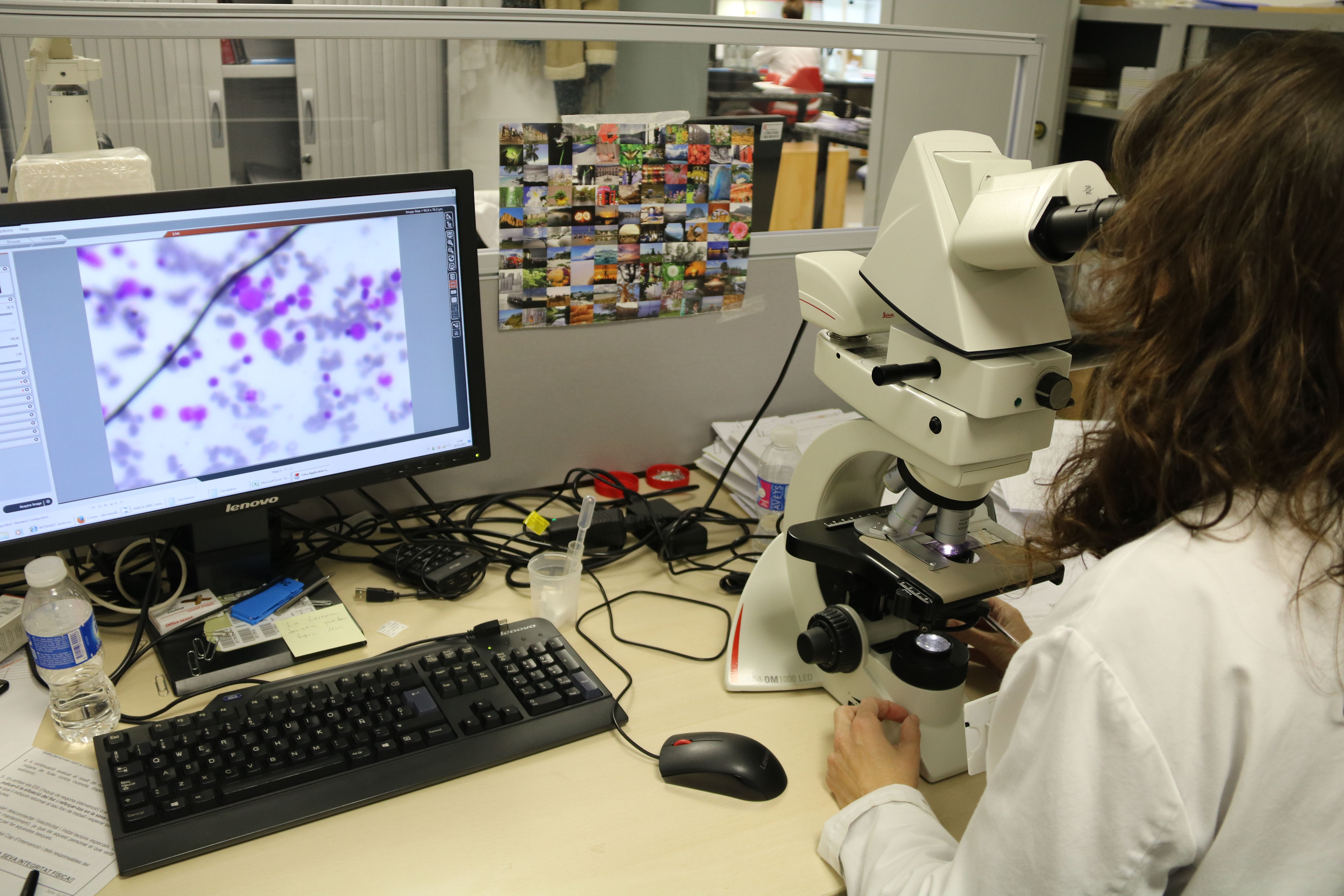 A worker in the molecular biology area of Hospital Trueta observes a sample (by ACN)
