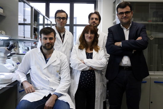 IRB Barcelona's researchers team (by Laura Fíguls)