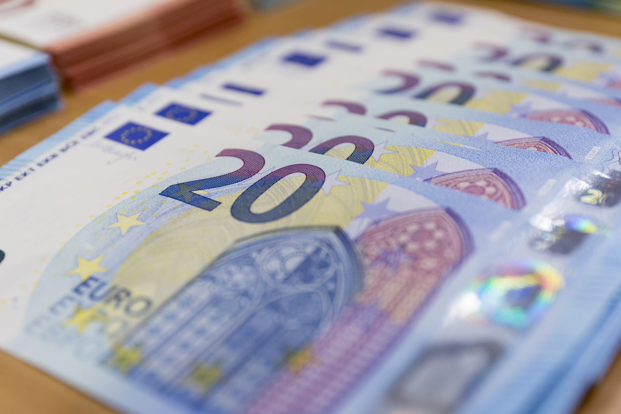 Twenty euro notes (by ACN)