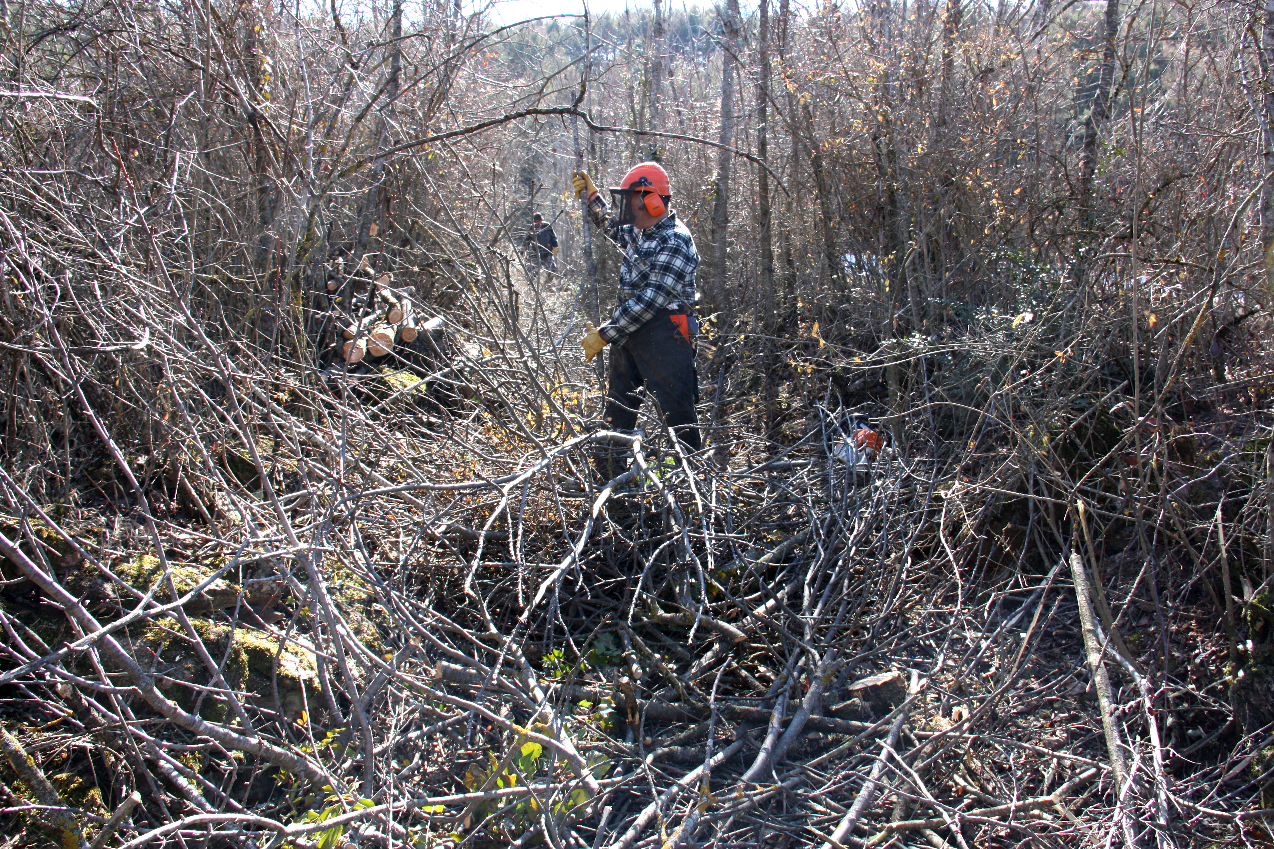 Worker clearing path in Alt Urgell region (by ACN)