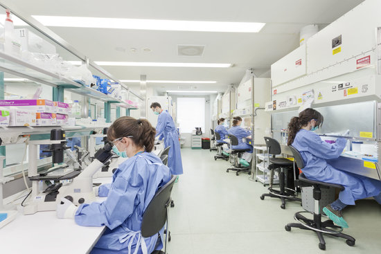 Image of an IrsiCaixa lab on February 2017 (by IrsiCaixa/Jordi Anguera)
