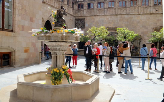Yellow roses by the Sant Jordi fountain at the government HQ (by ACN)