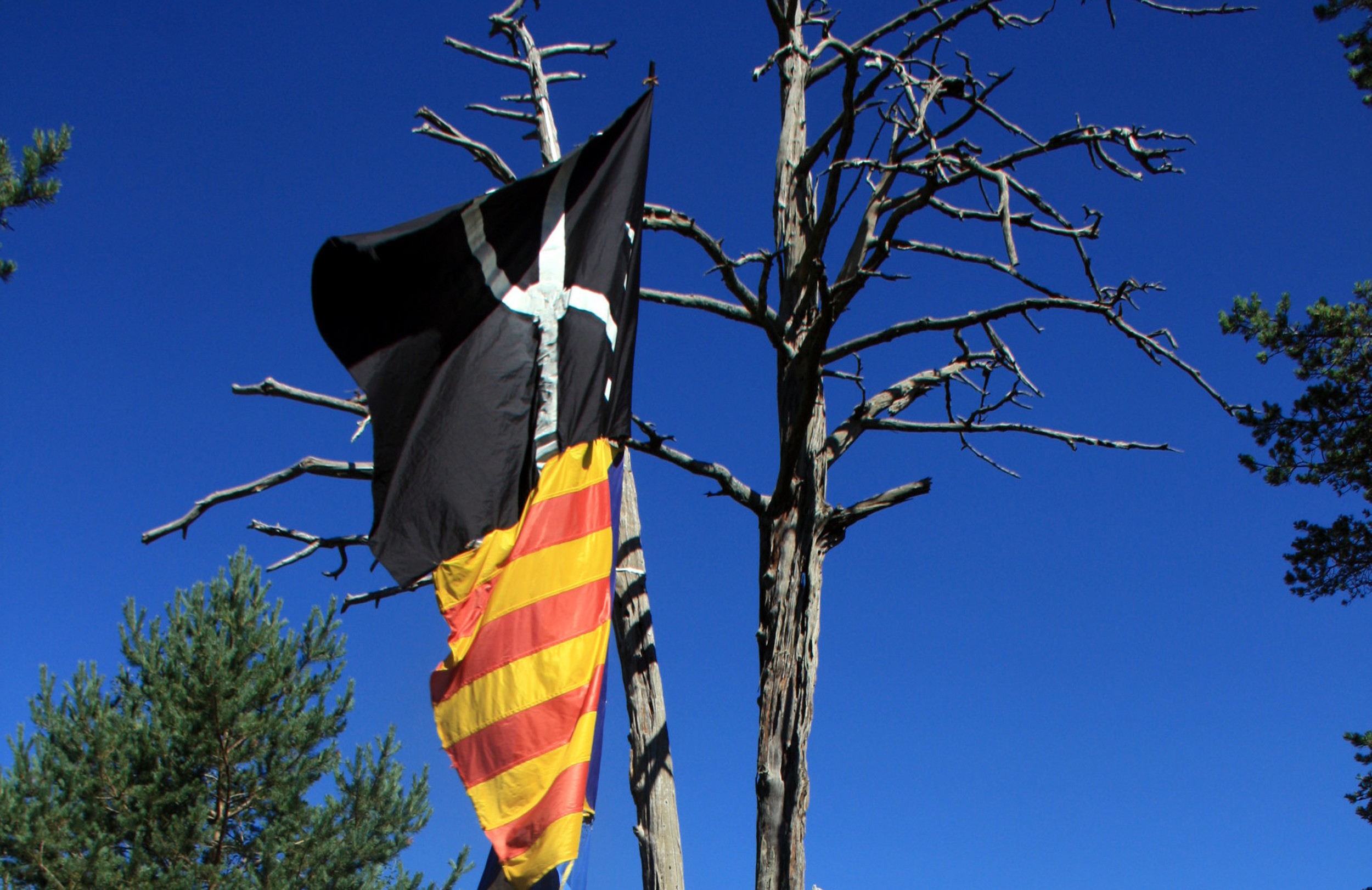A black flag in support of Catalan independence (by ACN)