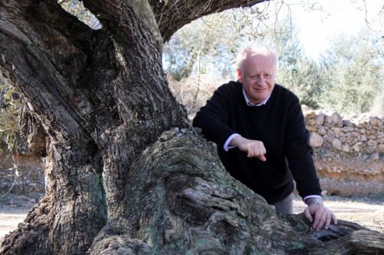 Actor Juan Echanove poses in front of a thousand-year-old olive tree on February 16 2012 (by Jordi Marsal) 