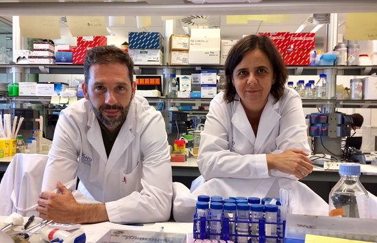 Researchers Josep Villanueva and Olga Méndez at the VHIO lab (courtesy of VHIO on August 28)