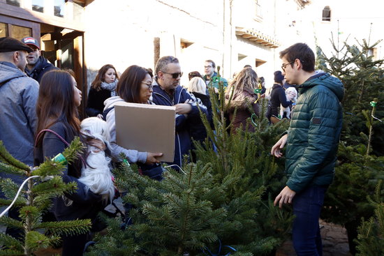 Some people visiting the Christmas tree fair in Espinelves on December 2, 2018 (by Laura Busquets)