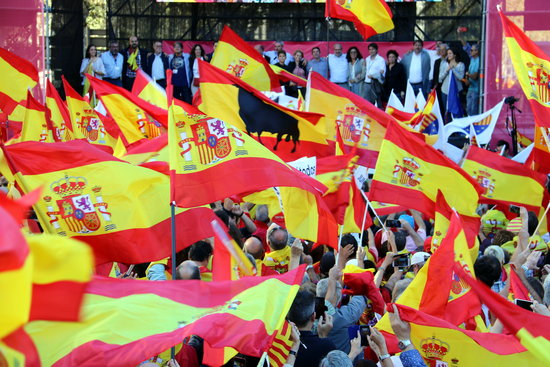 Demonstrators wave Spanish flags during a unionist rally in Barcelona (by Jordi Bataller)