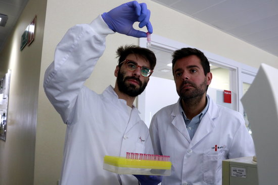 Head of liver vascular biology at the IDIBAPS research centre, Jordi Gracia-Sancho (right) observes a sample being showed to him by a researcher - Laura Fíguls