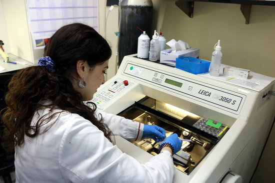Scientists at Vall d'Hebron Research Institute working in the laboratory 
