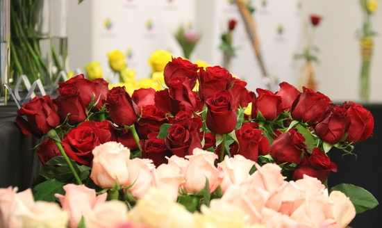 Roses ready for the Sant Jordi celebration in the Mercabarna wholesale complex (by Àlex Recolons)
