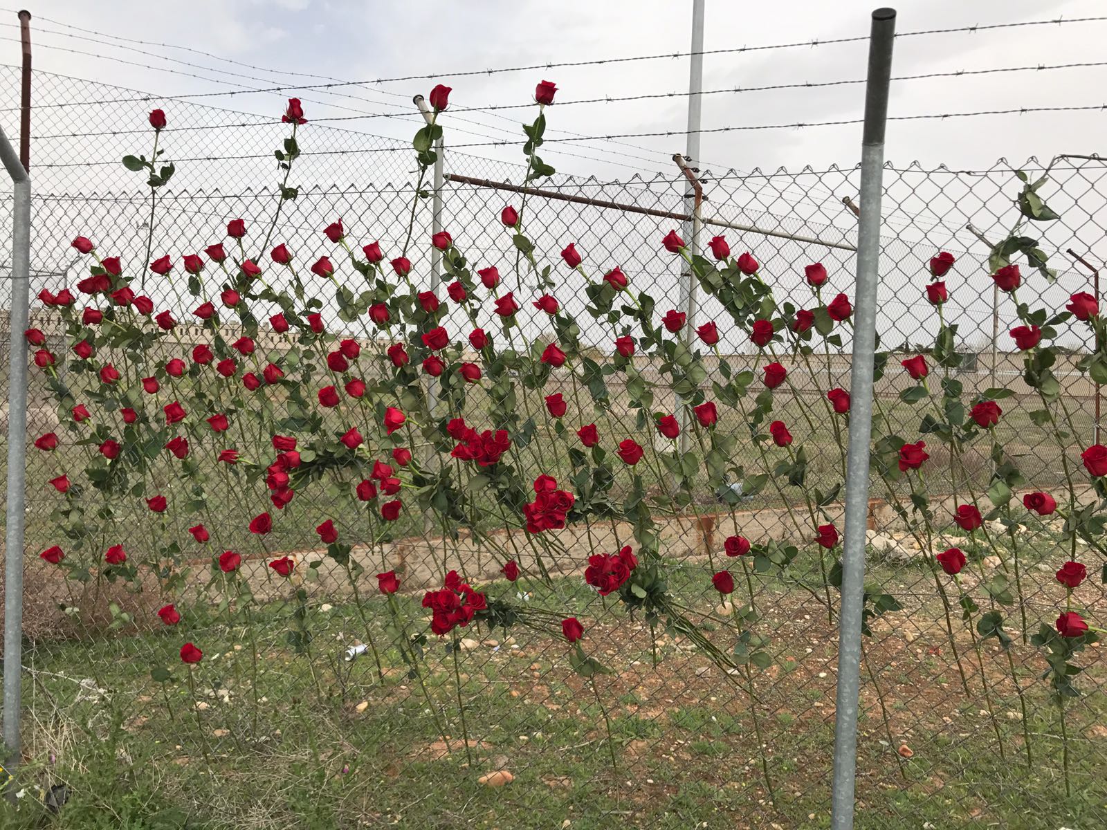 Pro-independence supporters leave roses in the fence of Alcalá Meco, the Madrid prison where Dolors Bassa and Carme Forcadell are imprisoned (by ACN)