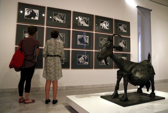 Picasso's She-Goat sculpture, on display with accompanying photographs in the new photography exhibition in the Picasso Museum. (Photo: Pau Cortina)