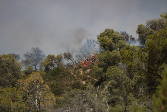 Flames of the wildfire burning in southern Catalonia (Photo: Jordi Marsal)