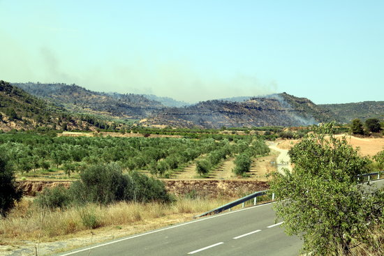 Image of the southern Catalonia wildfire burning in the distance. (Photo. Anna Ferràs)