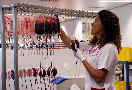 A nurse handles blood donations in a laboratory (by Nazaret Romero)