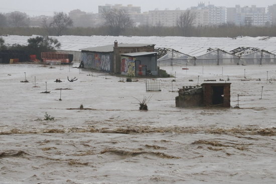 Completely flooded crops on the Tordera riverbed in Malgrat, January 22, 2020 (by Eduard Batlles)