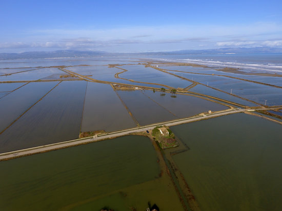 Aerial view of rice fields flooded with sea water in the Marquesa area, in the Ebre Delta January 23, 2020 (by Quim Vallès)