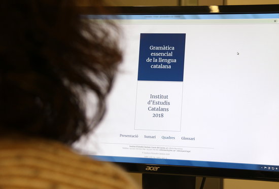 A person looks at an online course of Catalan grammar (by Violeta Gumà)