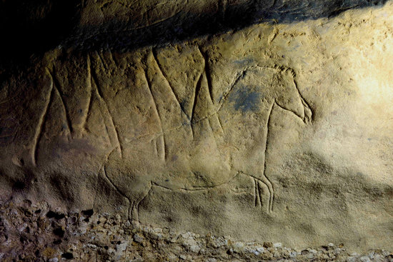 An engraving of a horse found in the Font Major cave in L'Espluga de Francolí, February 7, 2020