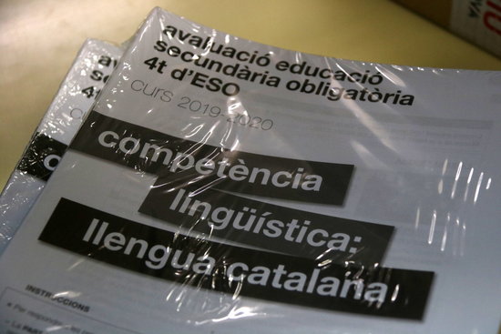 The Catalan Language in the Digital Age