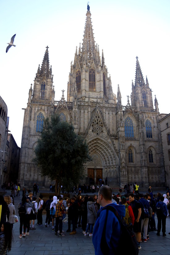 Overview of the facade of the Cathedral of Barcelona. Tuesday, February 18, 2020 (By: Pau Cortina)
