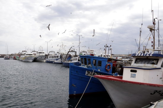 Fishing fleet moored at port of Palamós (by Marina López)