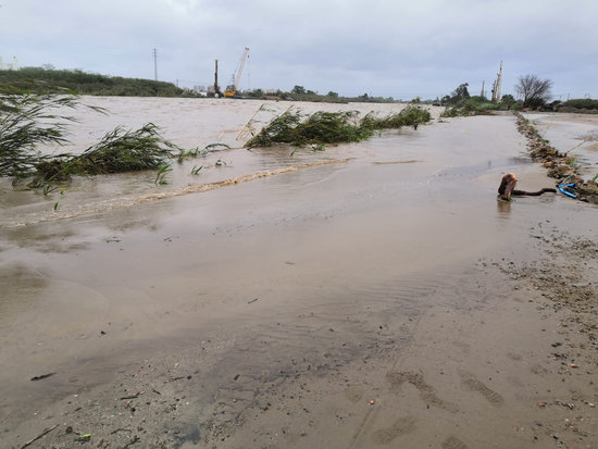 The Tordera river bursting its banks in Palafolls, on April 22, 2020 (by Sònia González)
