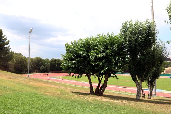 Running track at Sant Cugat High Performance Center, July 9, 2019 (by Norma Vidal)