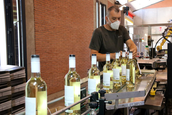 A worker on the bottling line of a celler in the Penedès region wearing a facemask (by Gemma Sánchez)