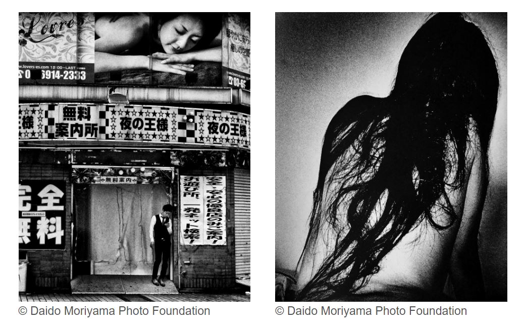 Screenshots from the Foto Colectania website of some of Daido Moriyama's photographs (images from the Daido Moriyama Photo Foundation)