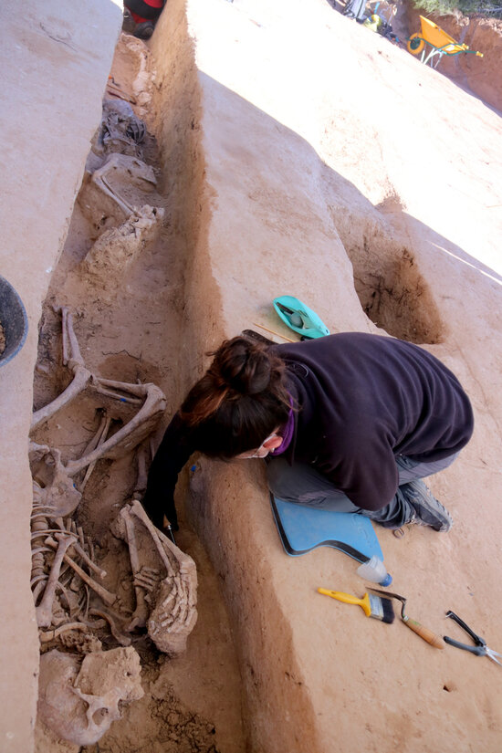 Image of a mass grave found in Móra d'Ebre, on January 4, 2021 (by Jordi Marsal)