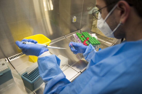 The Covid-19 UK strain being analyzed in the LCTMS lab, in Bellvitge hospital. Published on February 3, 2021 (by Health department)