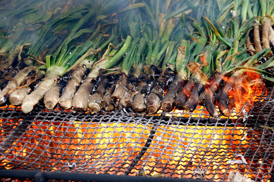 Calçots cooking on the grills of the Casa Fèlix restaurant in Valls, February 26, 2021 (by Núria Torres) 