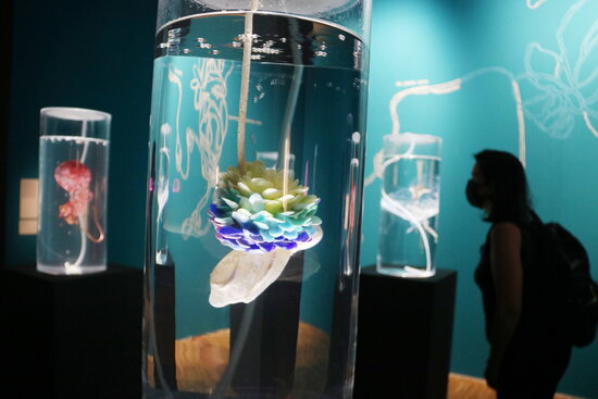 The new exhibition 'Science Friction' at the CCCB (by Pau Cortina)