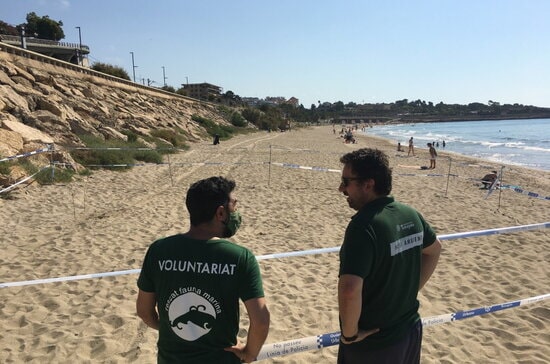 A volunteer and local council worker beside the loggerhead turtle nest on Tarragona's Miracle beach (Courtesy of the Tarragona council)