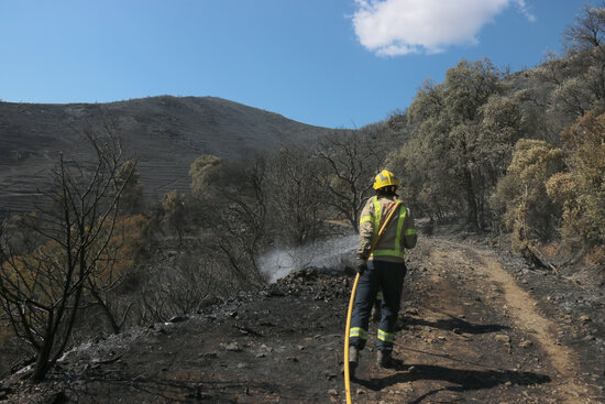 A  firefighter works on the wildfire in Llançà on July 18, 2021 (by Gerard Vilà)
