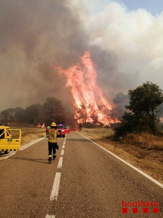 Firefighters battle the flames in Santa Coloma de Queralt (by Bombers de la Generalitat)