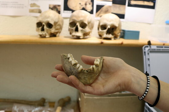 An archaeologist displays some of the prehistoric human remains discovered in the Catalan Pyrenees (by Lourdes Casademont)