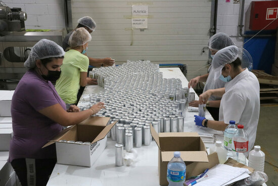 People working at the Glass Canned Wines plant (by Gemma Sánchez - ACN)